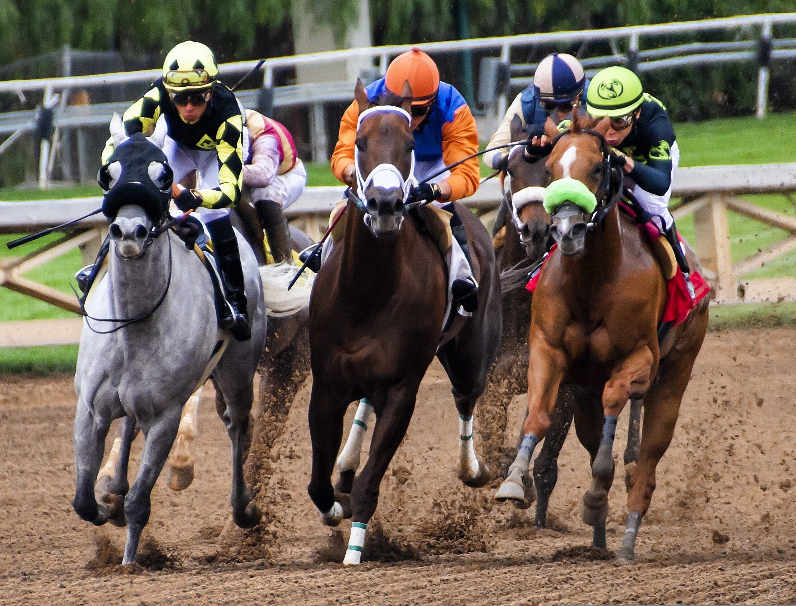 Is Horse Racing Betting Still Popular?